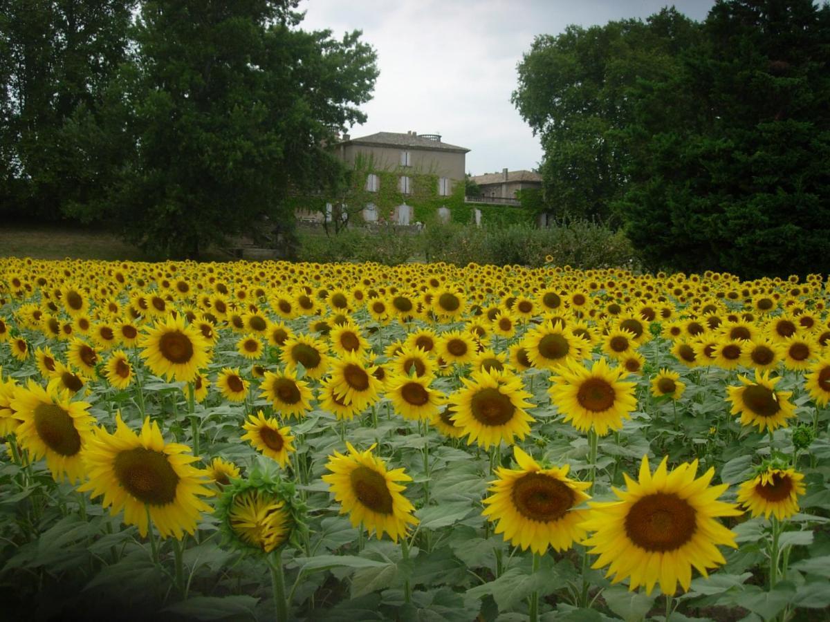 Domaine De Lamartine Pont-Saint-Esprit Exterior foto
